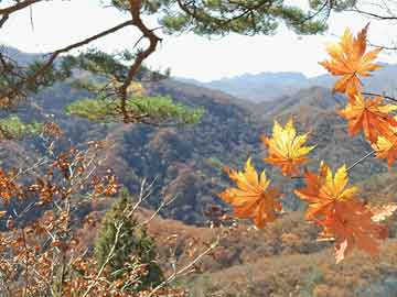 澳门王中王100期期准精选解析与落实策略